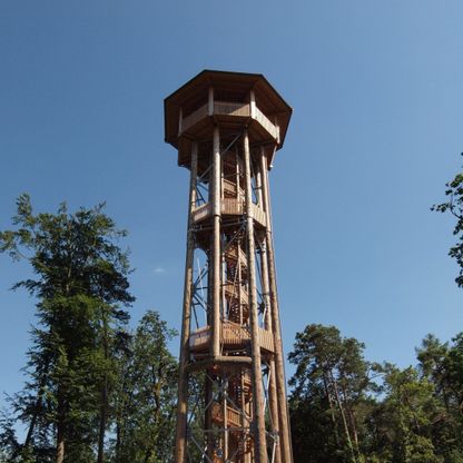 Neubau Aussichtsturm, Wildensbuch