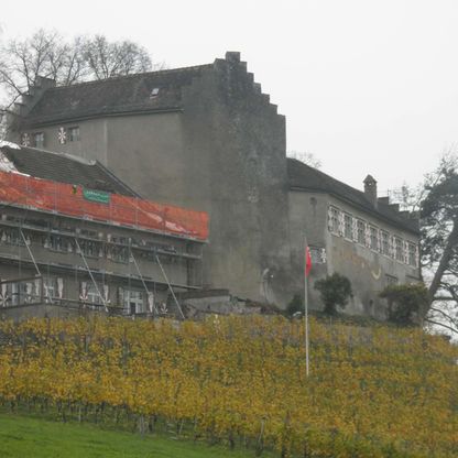 Umbau Schloss Schwandegg, Waltalingen